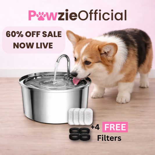 PawzieOfficial™️ - Automatic Water Fountain 60% OFF