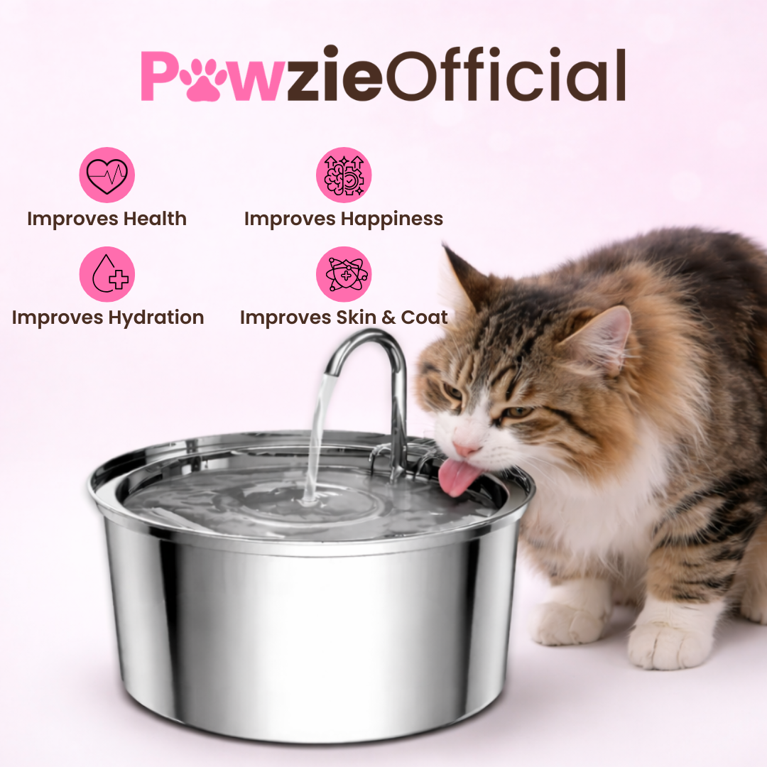 PawzieOfficial™️ - Automatic Water Fountain 60% OFF