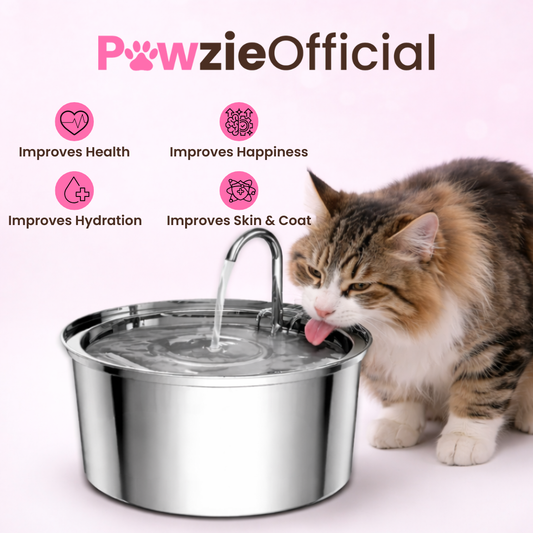 PawzieOfficial™️ - Automatic Water Fountain 60% OFF