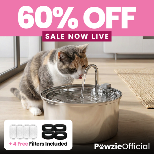 PawzieOfficial™️ - Automatic Water Fountain 60% OFF